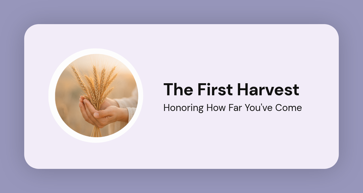 Ellipse. The First HarvestHonoring How Far You've Come. – A Reflection by Sue.